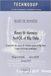 Bases de données NoSQL et big data vignette