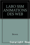 Animation de vos sites web