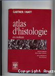 Histologie en couleurs