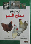 تربية وإنتاج دجاج اللحم