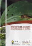 Diagnostic des accidents de la féverolle et du pois vignette