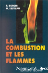 La combustion et les flammes